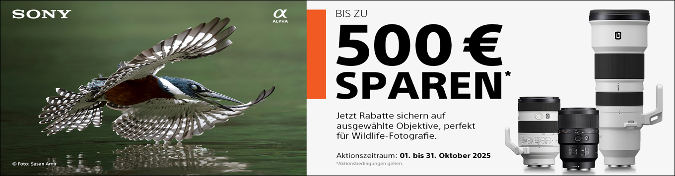 Sony Wildlife Herbst Aktion
