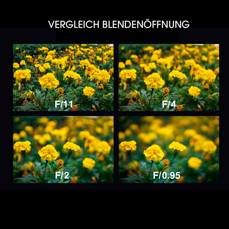 6940486702057