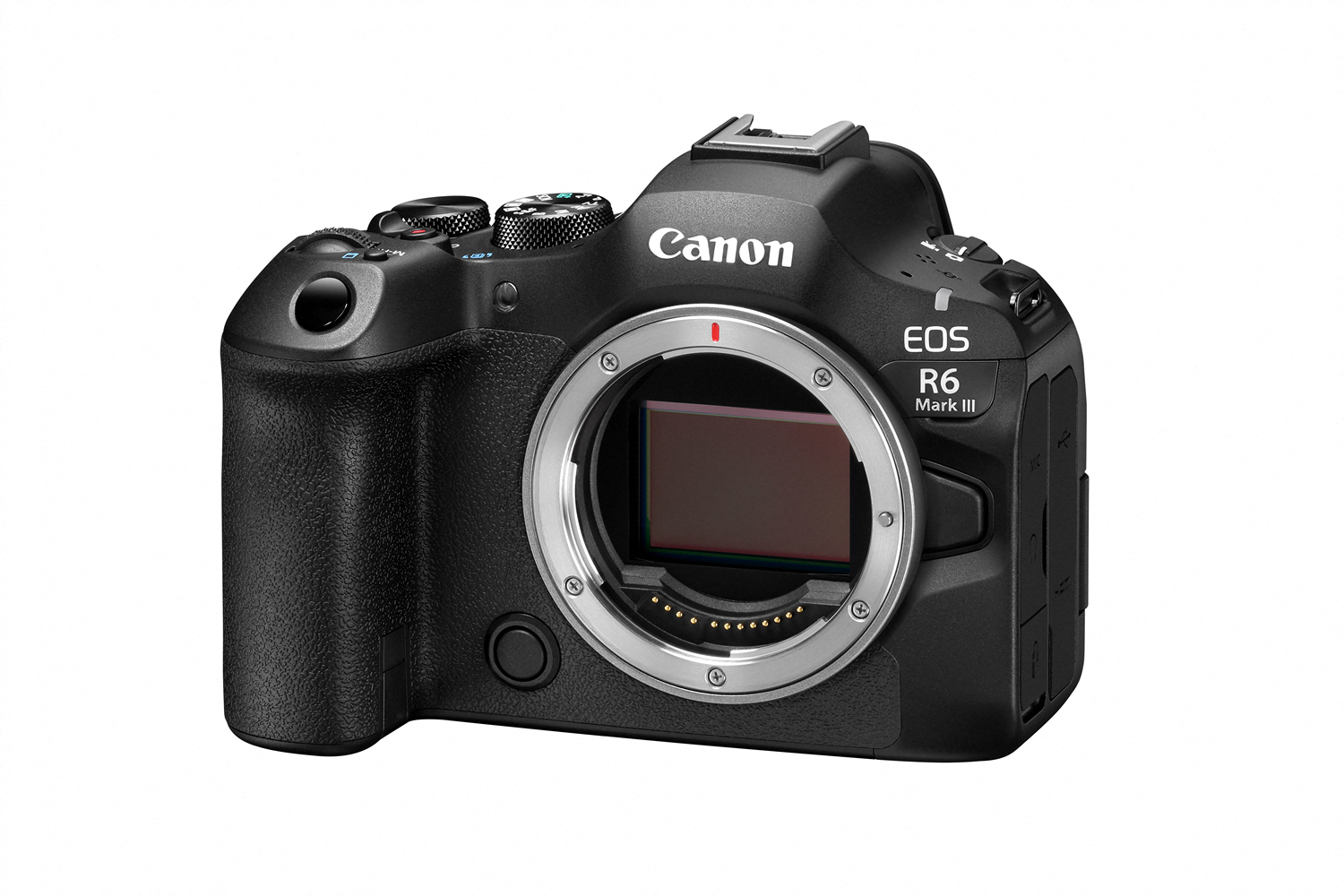 Canon EOS R6 MARK III Gehäuse