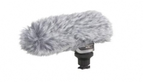 Canon DM-100 Stereo-Richtmikrofon 4960999579689