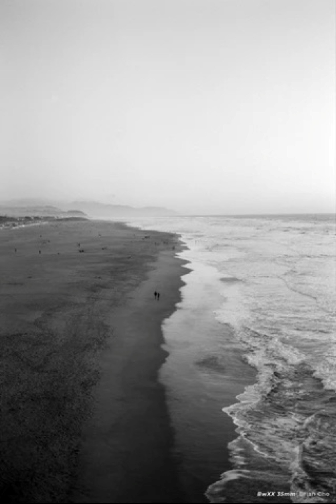 Cinestill BW XX KB  36 ISO 250