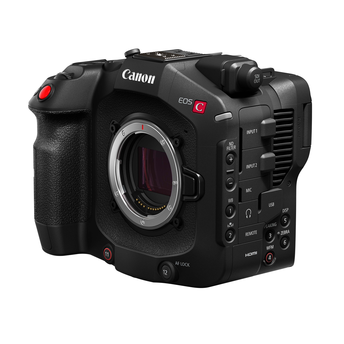 Canon EOS C80 Body Cinema Camcorder 4549292224641