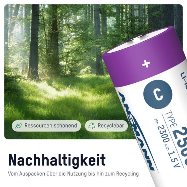 Ansmann Baby C 2500 Typ USB-C 2er Blister (2300mAh) 4013674193981