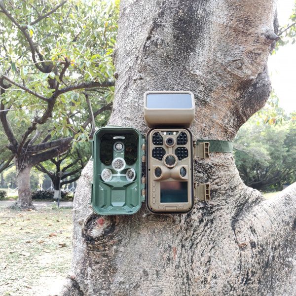 Braun Scouting Cam Black400 WiFi Solar Outdoor-Cam 4000567576594