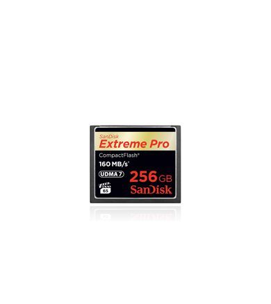 SanDisk CF Extreme Pro 256 GB 160MB/S 0619659102548
