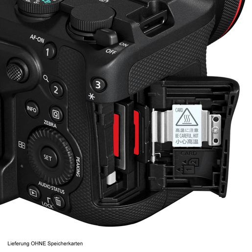 Canon EOS R6 V+RF 4/20-50 mm L IS USM PZ Kit