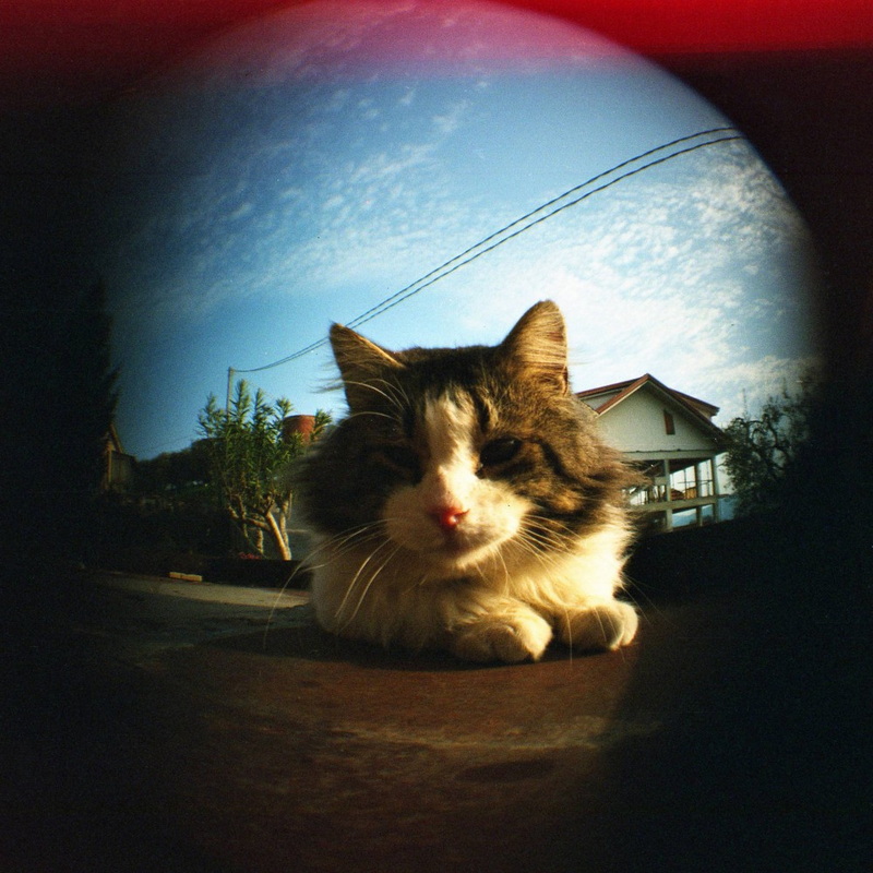 Lomo Color Negative 400 ISO 120er - 3er Pack 9007710004817