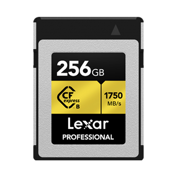 Lexar CFexpress LCXEPR 256 GB Type B Prof. 0843367128822