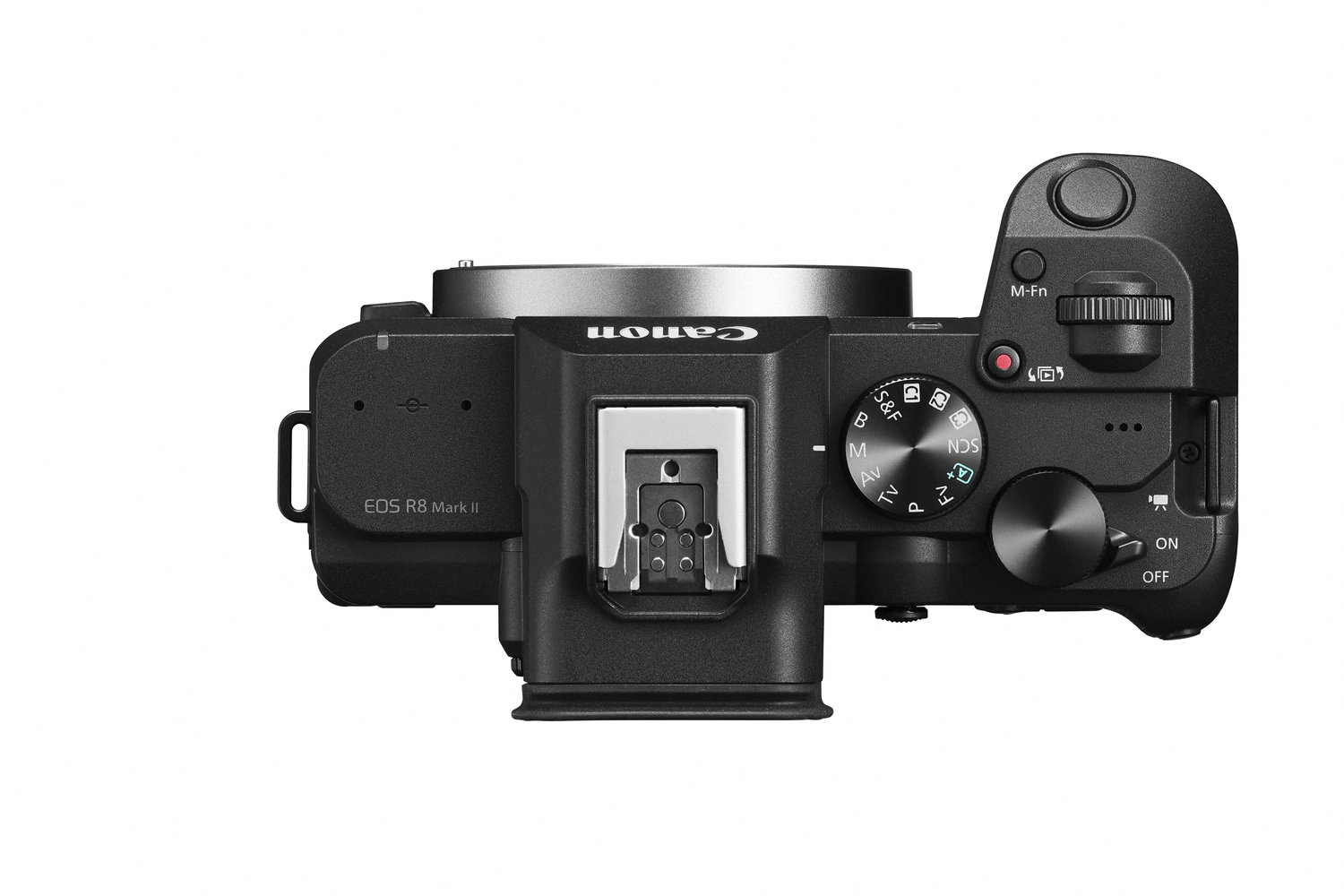 Canon EOS R8 Mark II Gehäuse